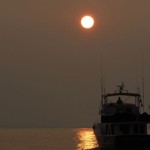 Don’t Be Alarmed and Sea Sense