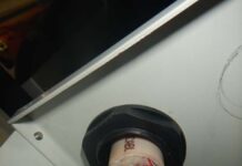 February 2022 Newsletter “Cord-Grips”