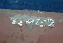 Antifouling Tactics – Editorial: Fifteen Years