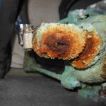 June 2024 Newsletter – There’s Bronze and there’s Bronze