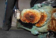 June 2024 Newsletter – There’s Bronze and there’s Bronze